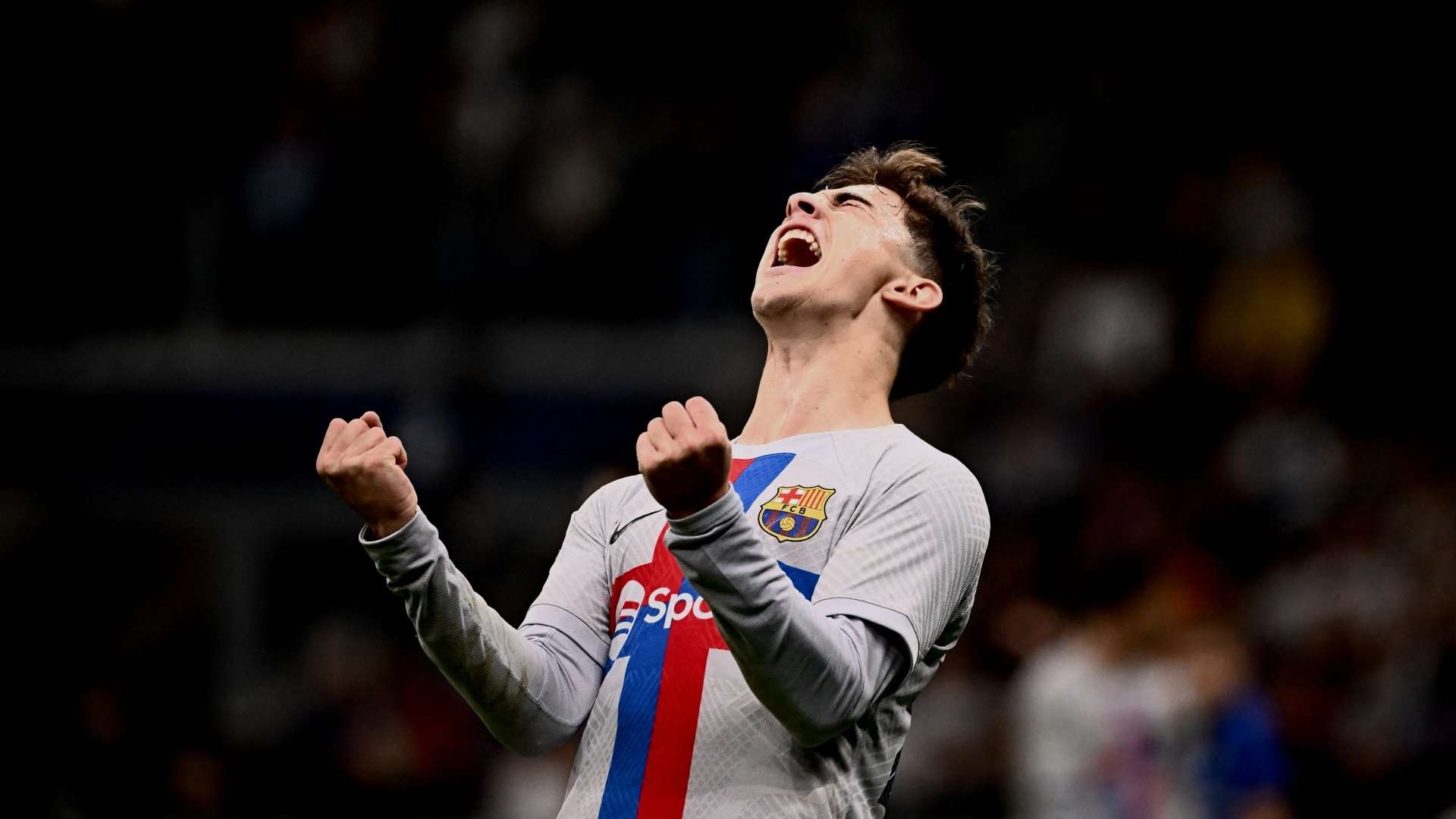 曲的爱好者 曲的爱好者