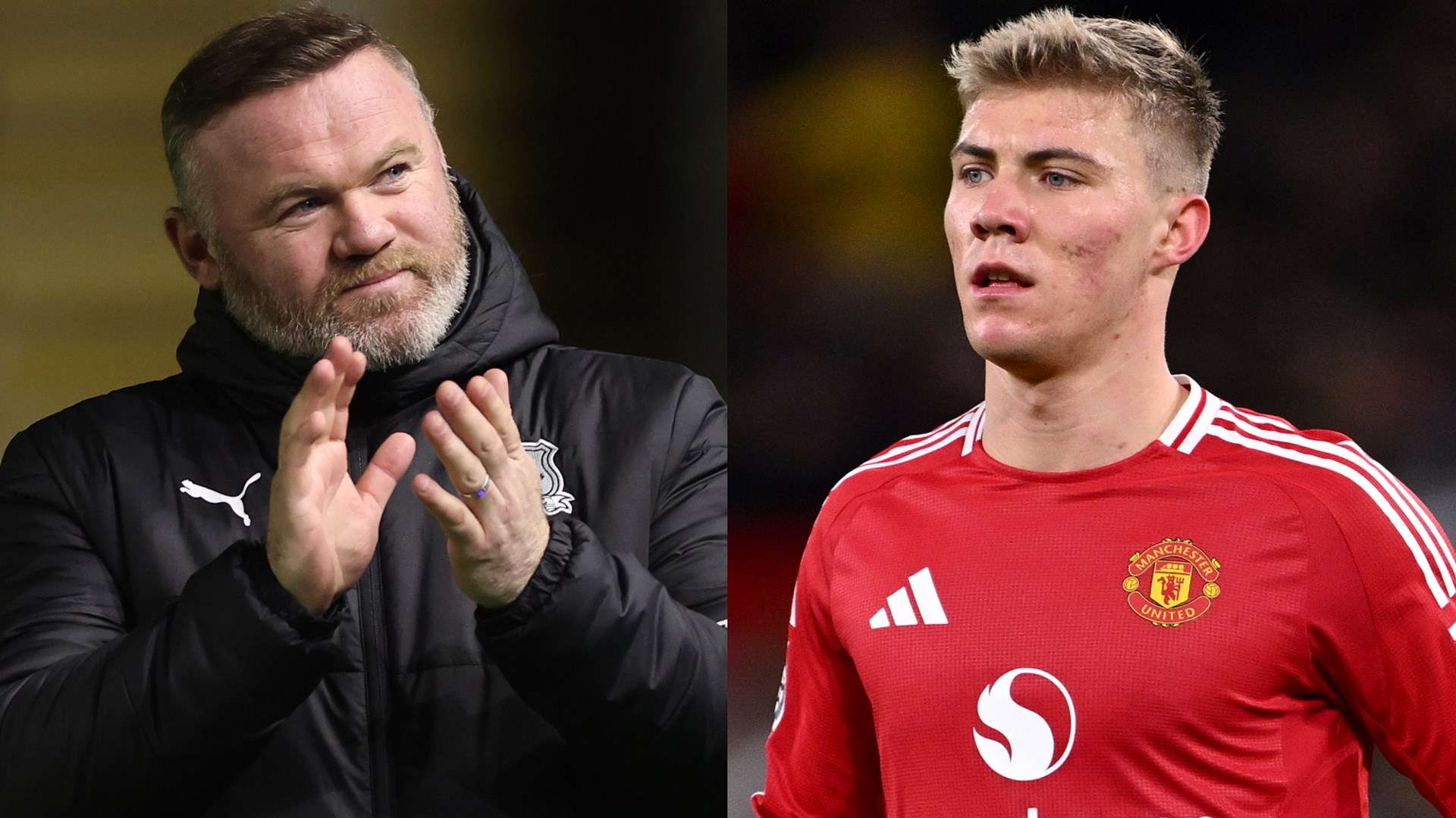 这一安排不 这一安排不