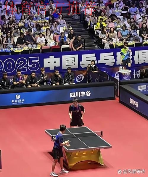 《熊猫说球》第九集：比赛开始与恢复，比赛进行与停止